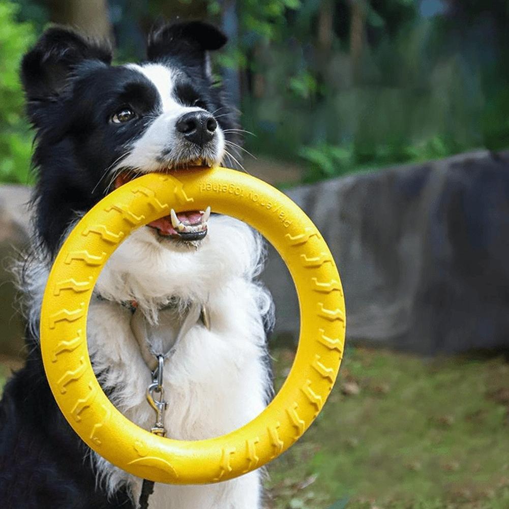Suction Cup Dog Tug Toy - Anello di Addestramento per Cani di