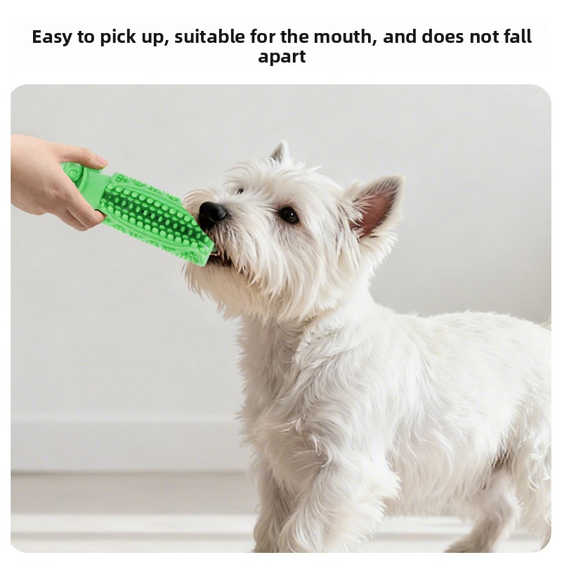 Giocattolo da masticare per la - Teeth Cleaning Dog Chew Bone recensione e prezzo