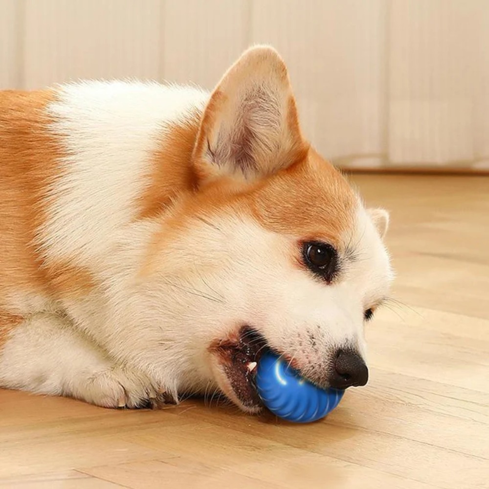 Nuovo 1pc giocattolo per cani  - Automatic Moving Dog Ball recensione e prezzo