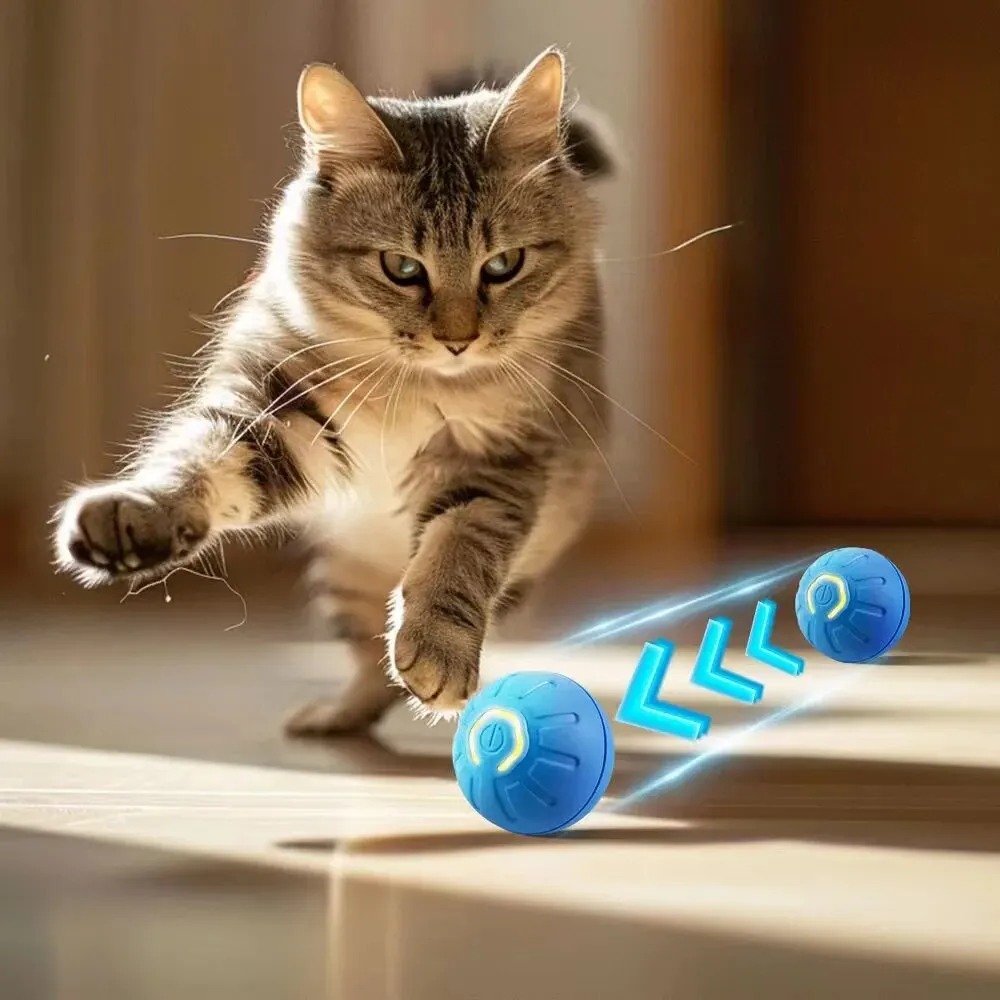 Nuovo 1pc giocattolo per cani  - Automatic Moving Dog Ball recensione e prezzo