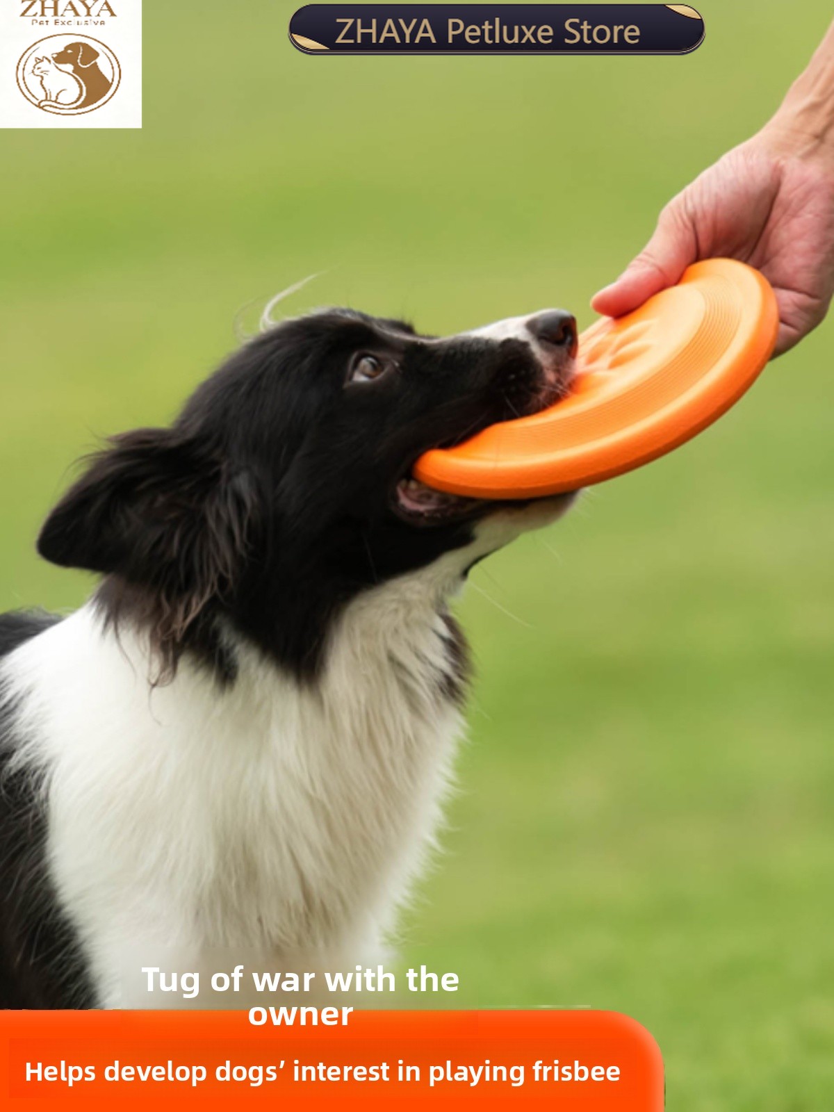 Disco Volante per Cani Morbido - Flying Disc Dog Training Toy recensione e prezzo