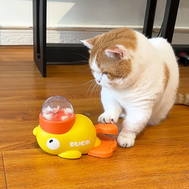 Distributore di crocchette int - Dog Puzzle Feeder Toy recensione e prezzo