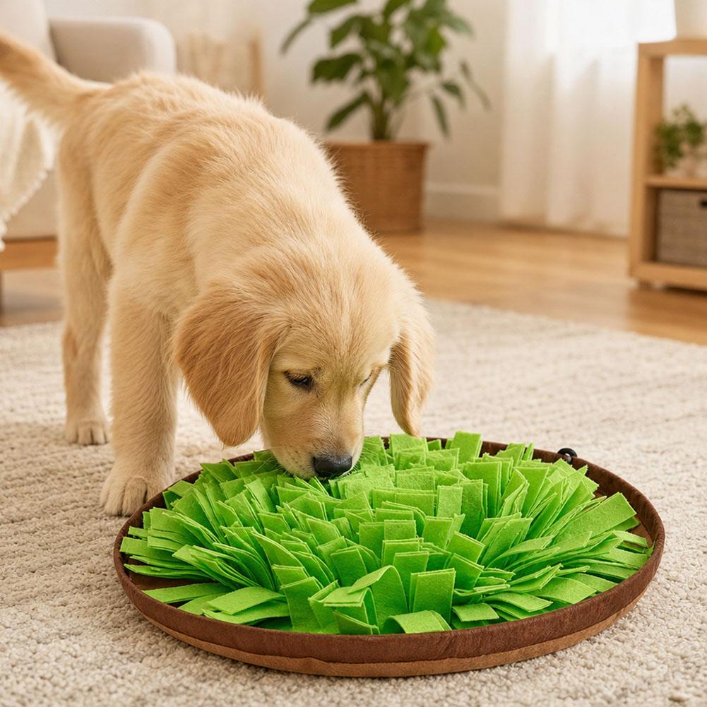 Tappetino interattivo per cani - Snuffle Mat For Dogs recensione e prezzo