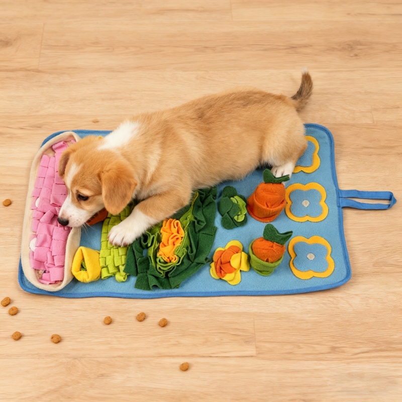 Tappetino Interattivo per Cani - Snuffle Mat For Dogs recensione e prezzo