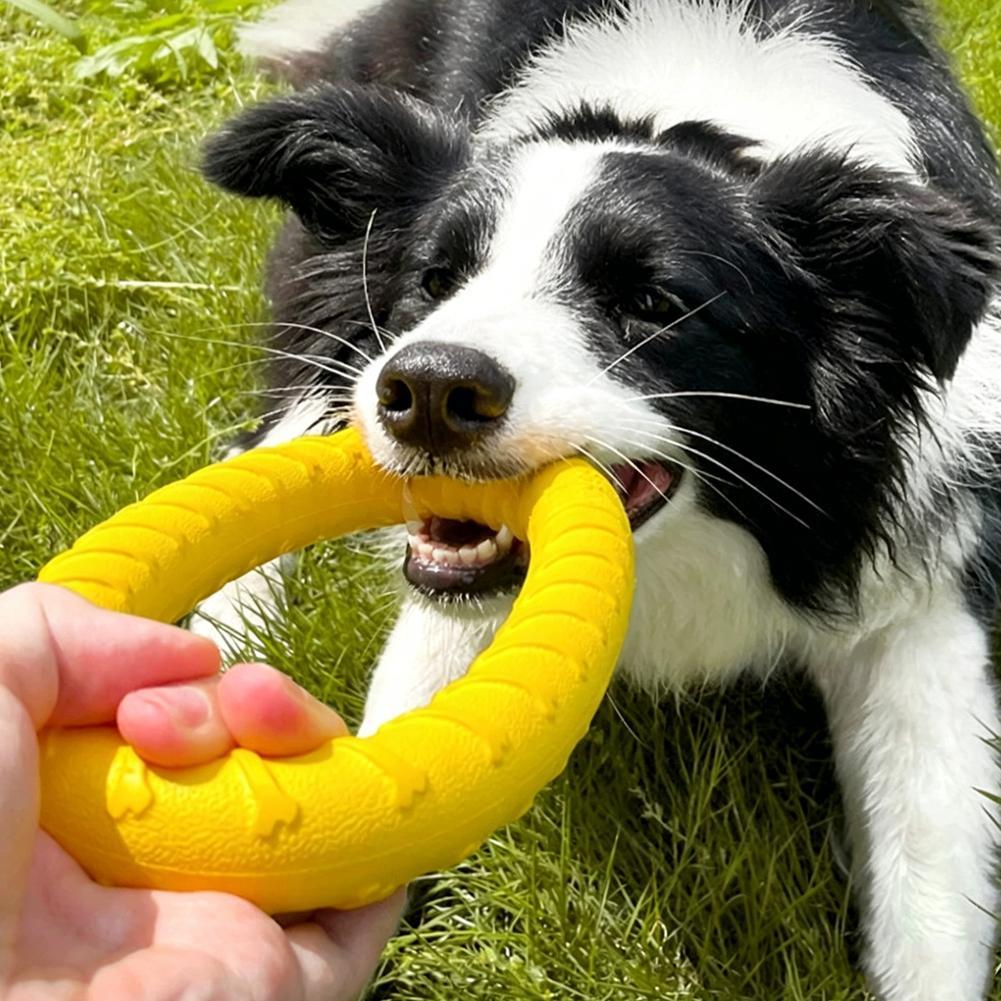 Anello di Addestramento per Ca - Suction Cup Dog Tug Toy recensione e prezzo