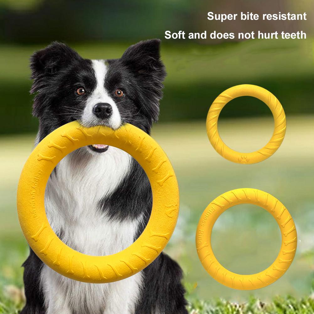 Anello di Addestramento per Ca - Suction Cup Dog Tug Toy recensione e prezzo