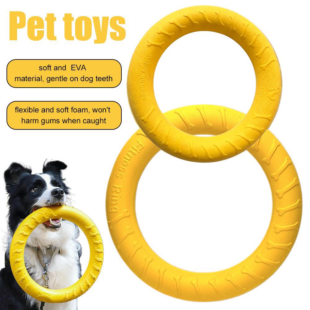 Anello di Addestramento per Ca - Suction Cup Dog Tug Toy recensione e prezzo
