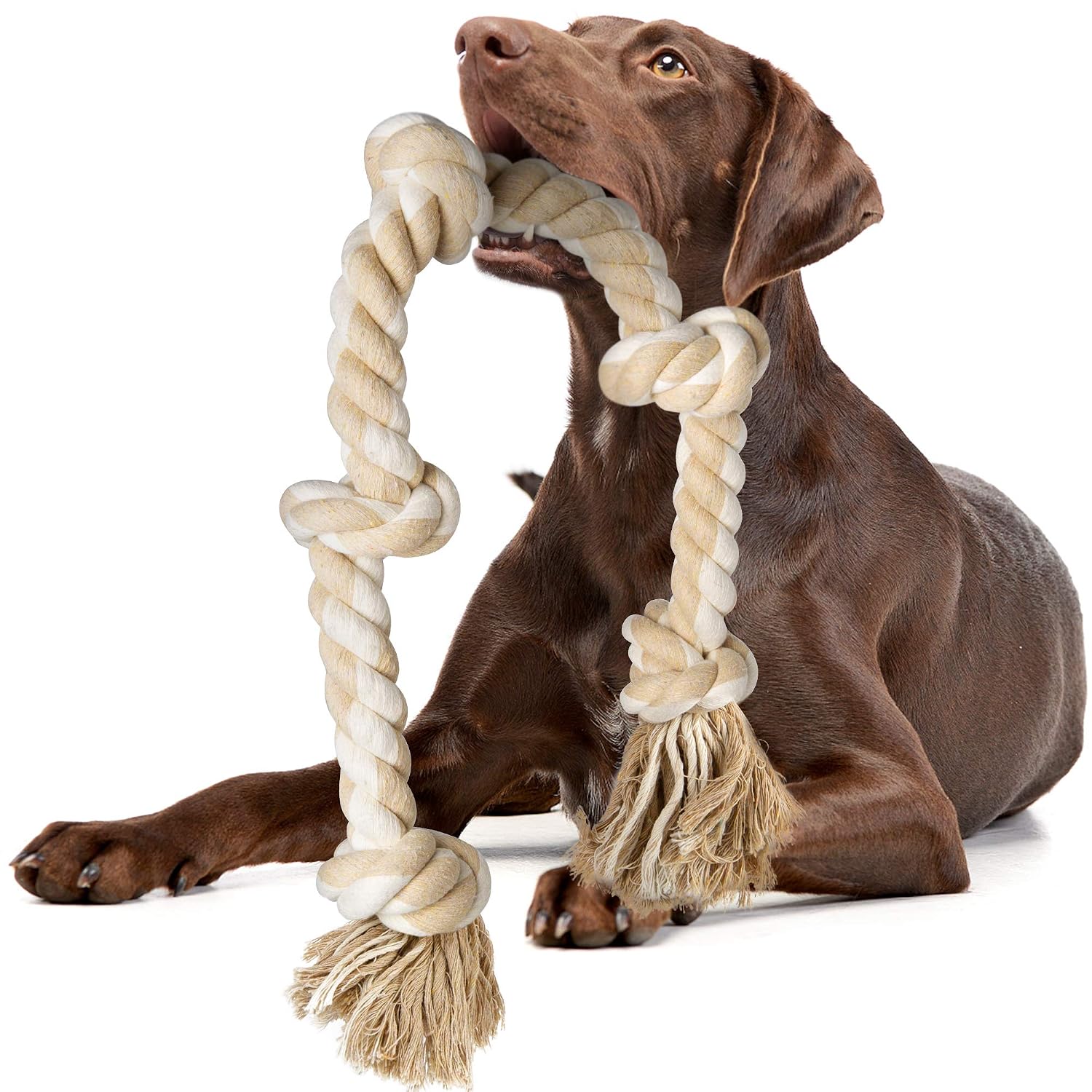 Giocattoli da masticare in cor - Dog Rope Toy Aggressive Chewers recensione e prezzo