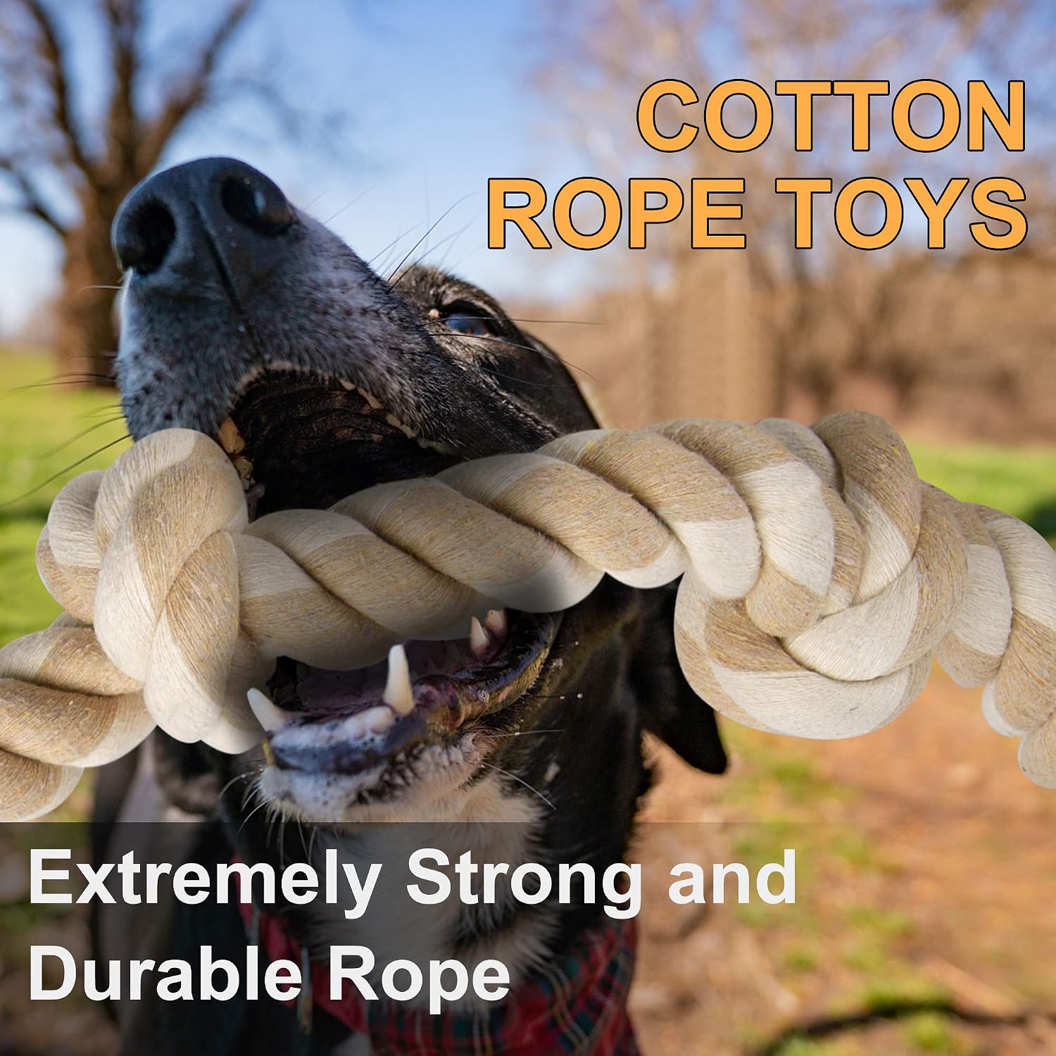 Giocattoli da masticare in cor - Dog Rope Toy Aggressive Chewers recensione e prezzo