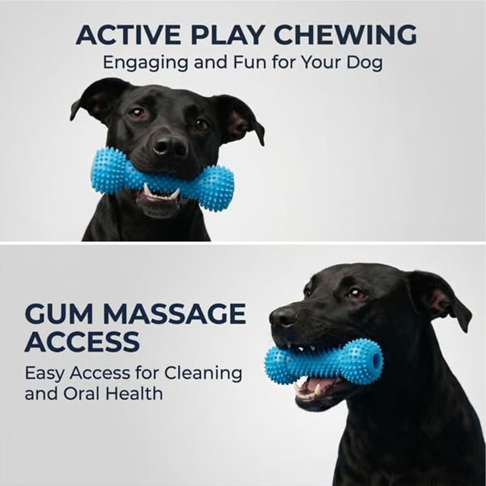 Giocattoli per la pulizia dei  - Rubber Treat Dispensing Dog Toy recensione e prezzo