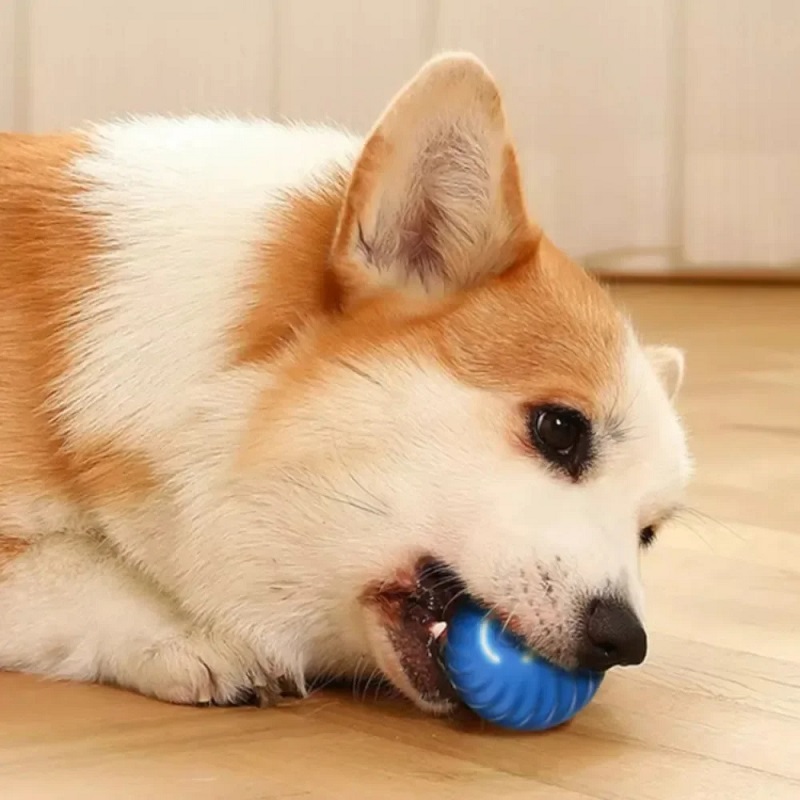 Palla Giocattolo per Cani con  - Automatic Moving Dog Ball recensione e prezzo