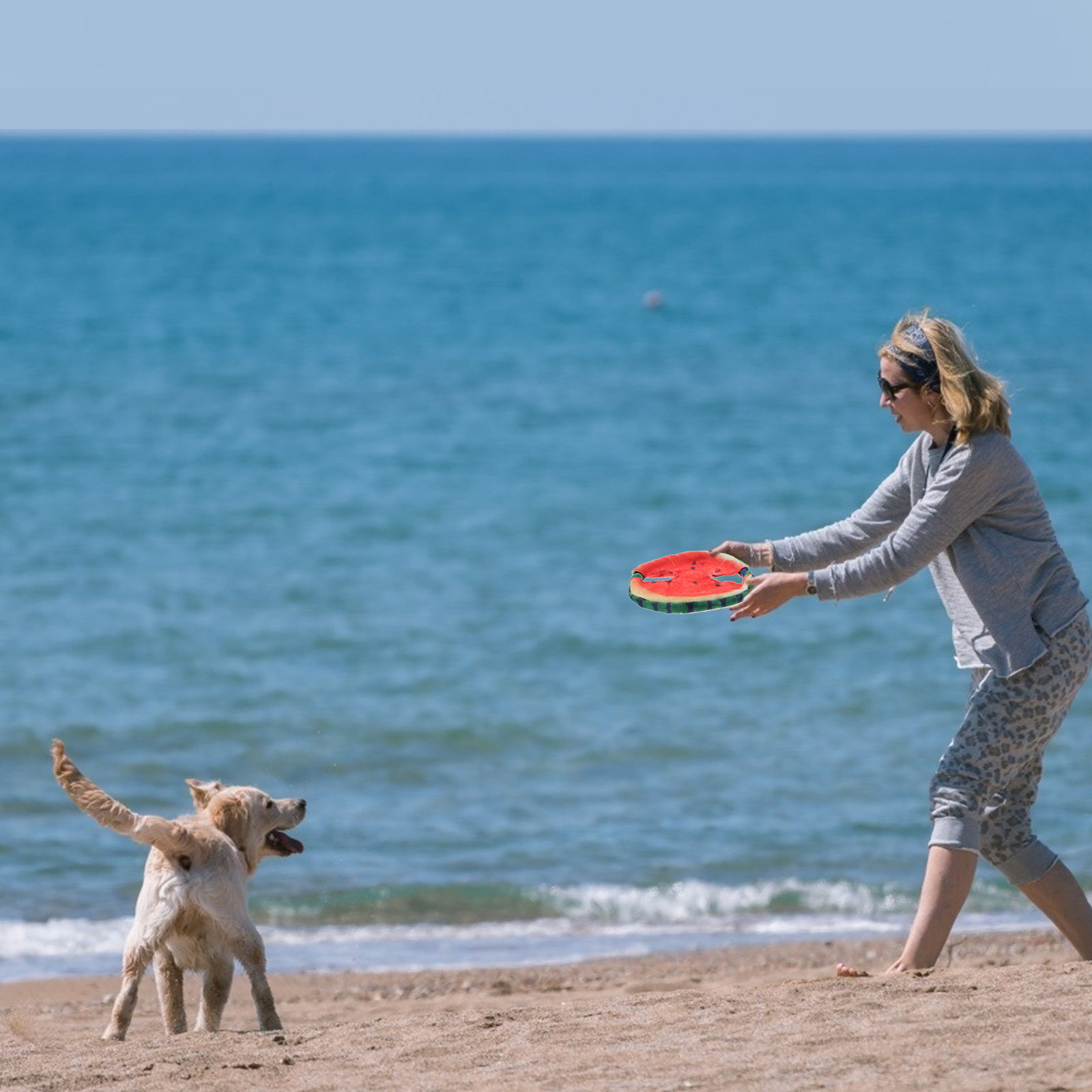 Disco Volante per Cani con Des - Flying Disc Dog Training Toy recensione e prezzo