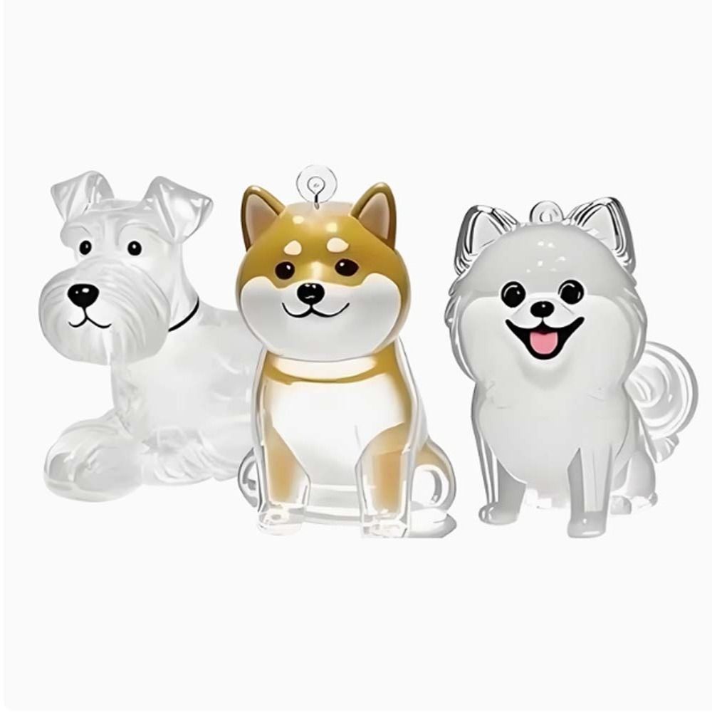 Scatola per la conservazione d - Pet Grooming recensione e prezzo