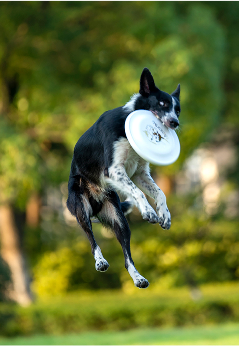 OUZEY resistente al morso Pet  - Flying Disc Dog Training Toy recensione e prezzo