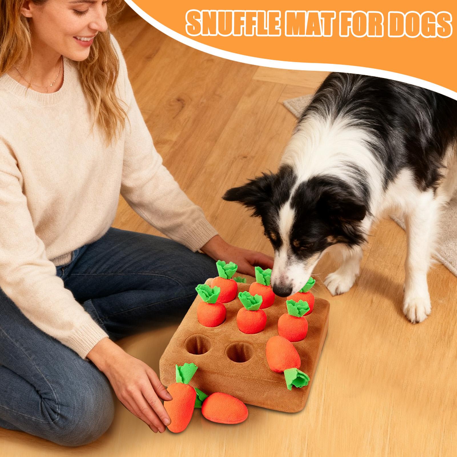 Giocattoli interattivi a forma - Snuffle Mat For Dogs recensione e prezzo
