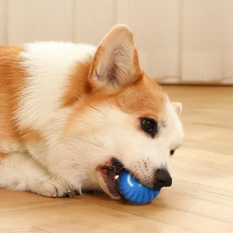 @1G-Palla giocattolo per anima - Automatic Moving Dog Ball recensione e prezzo