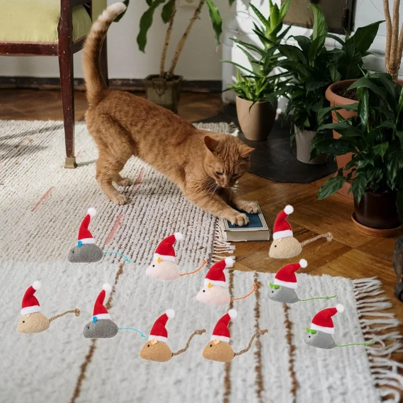 1-5 pezzi: topolino con cappel - Catnip Interactive Plush Mouse recensione e prezzo