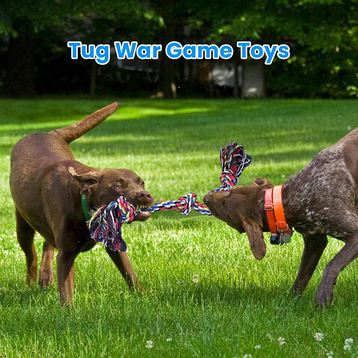 Giocattoli per Cani in Corda R - Dog Rope Toy Aggressive Chewers recensione e prezzo