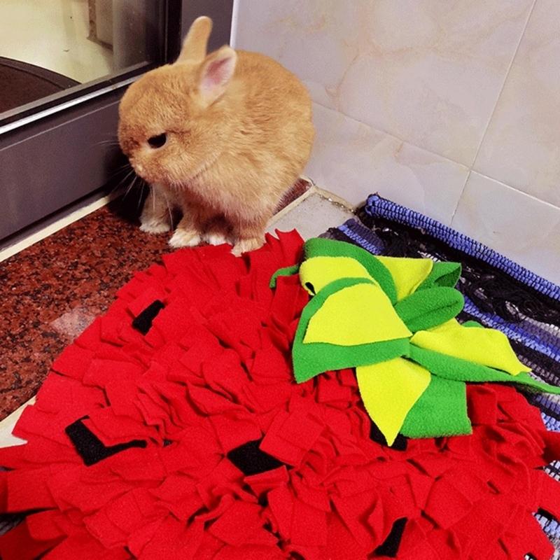 Tappetino da fiuto grandi dime - Snuffle Mat For Dogs recensione e prezzo