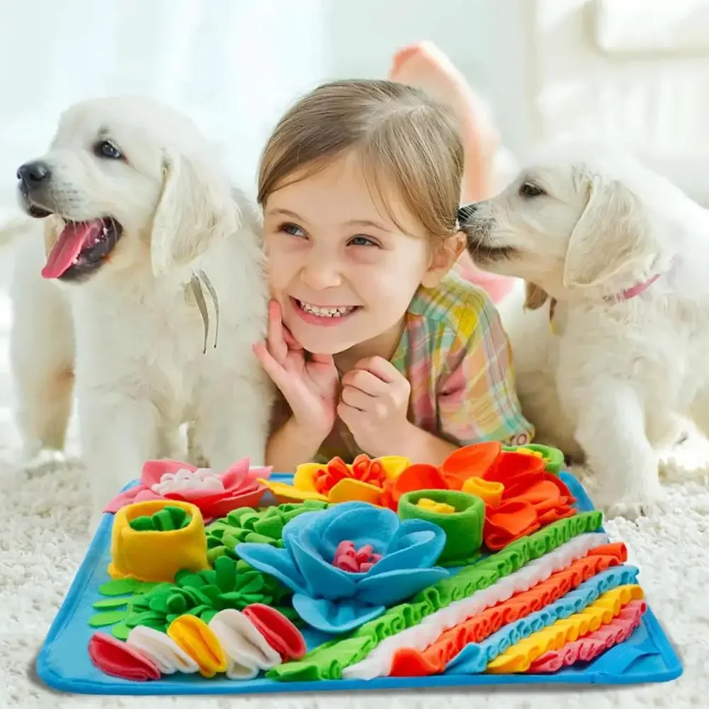 Giocattolo per l'addestramento - Snuffle Mat For Dogs recensione e prezzo