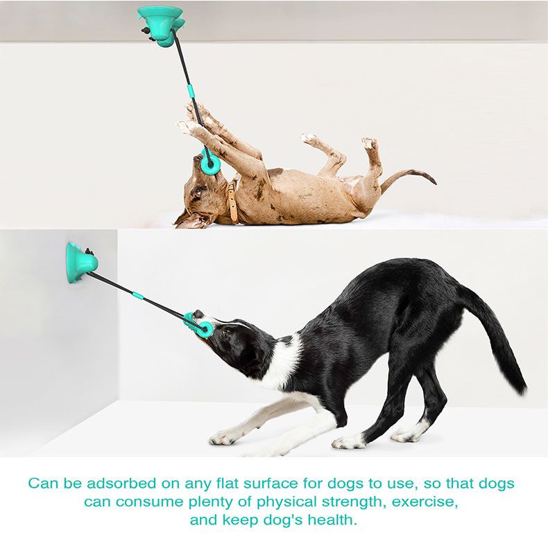 Giocattolo per cani con doppia - Suction Cup Dog Tug Toy recensione e prezzo