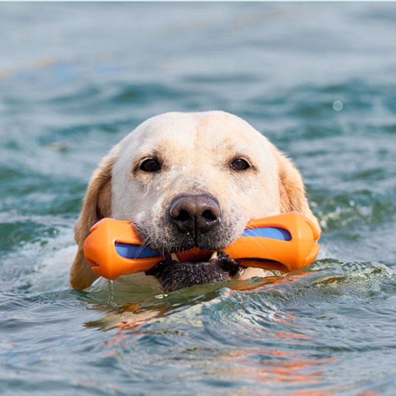 Bastone da lancio per cani, re - Indestructible Dog Chew Toy recensione e prezzo