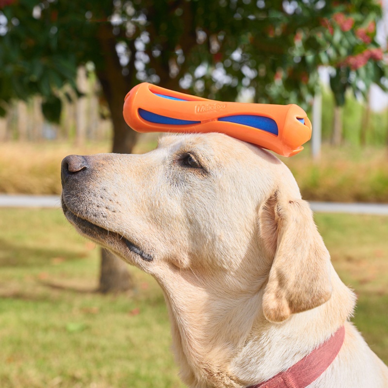 Bastone da lancio per cani, re - Indestructible Dog Chew Toy recensione e prezzo