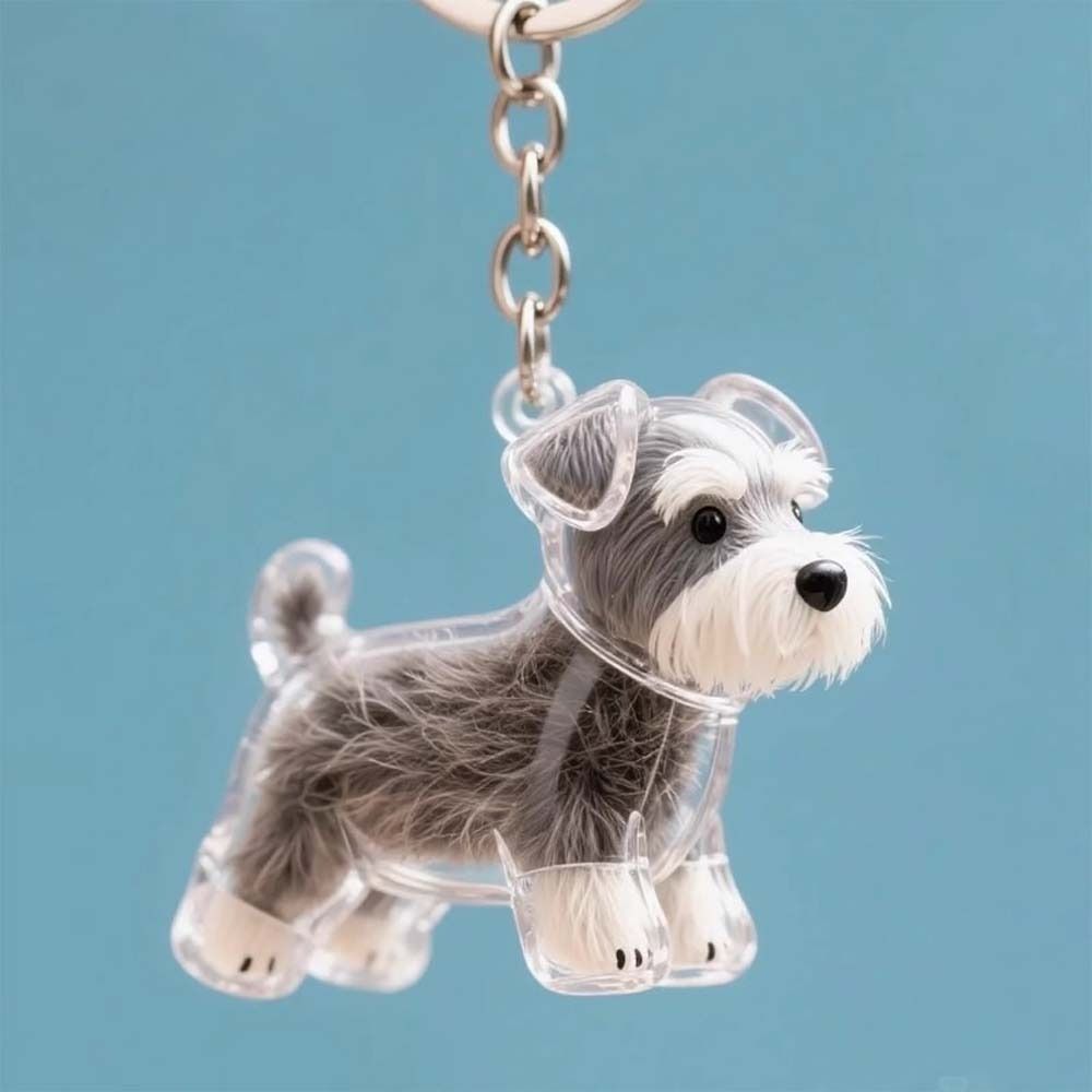 Scatola Portapelo a Forma di C - Pet Grooming recensione e prezzo