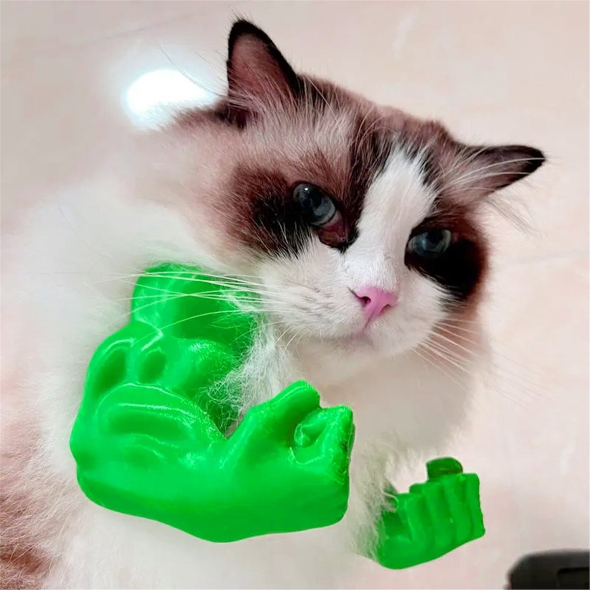 NEWCat Set di braccialetti e c - Cat Toys recensione e prezzo